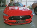 Brand New 2019 Ford Mustang Low Down Payment-4