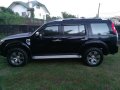2010 Ford Everest for sale in Antipolo-3