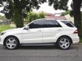 2014 Mercedes-Benz ML-Class for sale in Quezon City-5