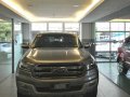 2016 Ford Everest for sale in Las Piñas-2