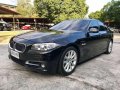 2015 Bmw 520D for sale in Manila-7