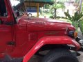 1974 Toyota Land Cruiser for sale in Manila-3