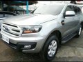 2019 Ford Everest for sale in Cainta-7