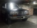 1995 Toyota Land Cruiser for sale in Mandaluyong-9