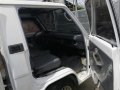 1996 Mitsubishi L300 for sale in Apalit -0