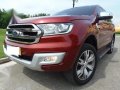 2017 Ford Everest for sale in Quezon City -9