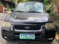 Ford Escape 2004 for sale in Paranaque -0