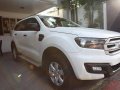 2016 Ford Everest for sale in Quezon City-8