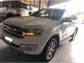 Ford Everest 2017 for sale in Cebu -4