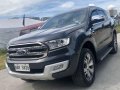 2017 Ford Everest for sale in Paranaque -9