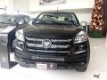 Foton Thunder 2019 for sale in Bacoor-0