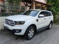 Ford Everest 2016 for sale in Taytay-2