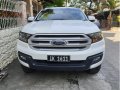 Ford Everest 2016 for sale in Taytay-3