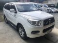Sell 2016 Foton Toplander in Quezon City-4