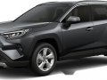 Sell 2020 Toyota Rav4 in Puerto Princesa-3