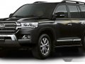 Selling Toyota Land Cruiser 2020 in Puerto Princesa-3