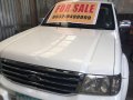Ford Everest 2004 for sale in Cainta-9