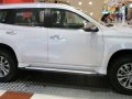 2020 Mitsubishi Montero Sport 4X2 manual-2