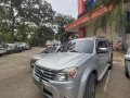 FORD EVEREST 2013 for sale in Davao City -3