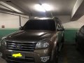 Sell 2009 Ford Everest in Quezon City-9