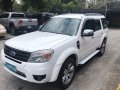 2013 Ford Everest 4x2 for sale in Pasig -0