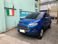 Sell Blue 2014 Ford Ecosport in San Antonio-9