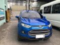 Sell Blue 2014 Ford Ecosport in San Antonio-8