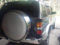 Sell Brown1997 Nissan Terrano SUV / MPV in Pasig-6