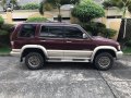 Isuzu Trooper 2001 for sale in Malabon -7