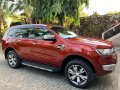 Red Ford Everest 2018 for sale in Marikina-6