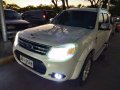 Sell 2014 Ford Everest in Taguig-6