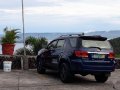 Sell Blue 2005 Toyota Fortuner in Pateros-0