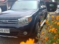 Ford Everest 2014 Manual for sale in Iloilo-0