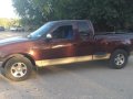 Sell Brown 2000 Ford F-150 in Subic-1