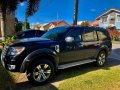 Sell Black 2010 Ford Everest in Lipa-1