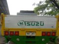 Sell Silver 1992 Isuzu Forward in Pulilan-2