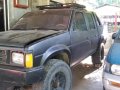 Sell 1994 Nissan Pathfinder in Bato-6
