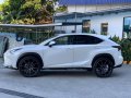 2015 Lexus NX300-5