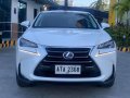 2015 Lexus NX300-2