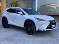 2015 Lexus NX300-10