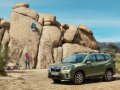 All New 2020 Subaru Forester-9