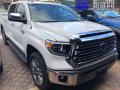 Brand New 2020 Toyota Tundra 1794 Edition-0