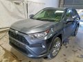 TOYOTA RAV4 Ev 2019-5