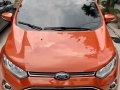 Ford Ecosport 2016-3
