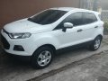 2017 Ford Ecosport-0