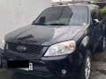 Sell Black 2010 Ford Escape in Quezon City-6