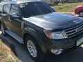 Grey Ford Everest for sale in Biñan-3