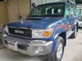 Sell Blue Toyota Land Cruiser in Quezon City-9