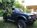 Blue Toyota Hilux for sale in Calapan-7