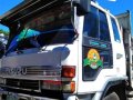 White Isuzu Elf for sale in La Trinidad-0